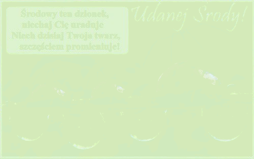 Udanej środy biedronki